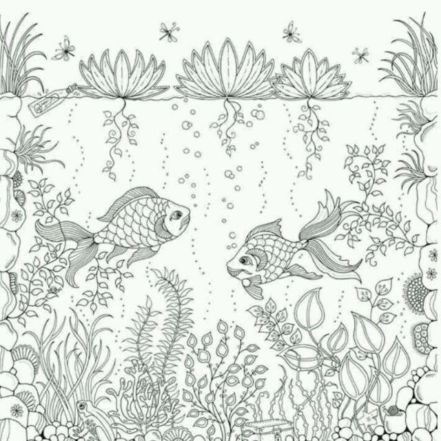 大人の塗り絵セット の通販 By ラクマ 大人の塗り絵セット の通販 By ラクマ