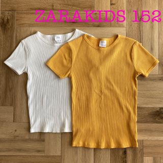 ザラキッズ(ZARA KIDS)のZARAKIDS リブ編みTシャツ 2枚セット(Tシャツ/カットソー)