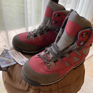 ガルモント(GARMONT)の未使用　GARMONT  FORMULA GTX 24.5から25センチ(登山用品)