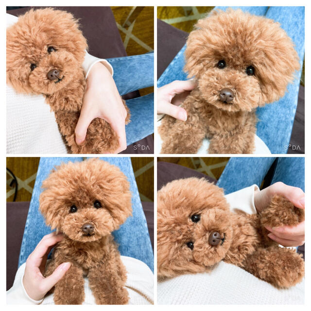 レッドちゃんトイプードル 羊毛フェルト 編みぐるみ ハンドメイド