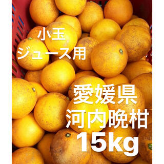 愛媛県　宇和ゴールド　河内晩柑　ジュース用　15kg(フルーツ)
