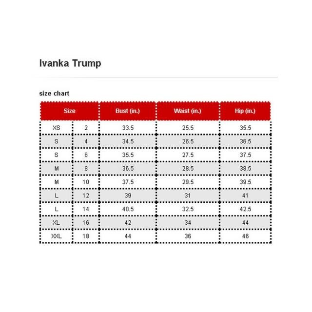 シンシア様専用！♪(15～17号程度)イヴァンカトランプ　ワンピース レディースのワンピース(ひざ丈ワンピース)の商品写真