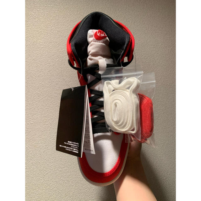 AJKO1 Chicago air Jordan 1 KO ジョーダン1KO 2