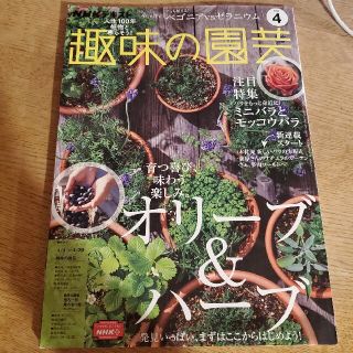 NHK 趣味の園芸 2021年 04月号(専門誌)