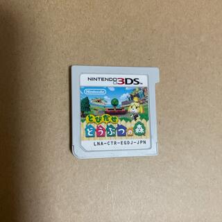 ニンテンドー3DS(ニンテンドー3DS)のとびだせどうぶつの森　3DS(携帯用ゲームソフト)