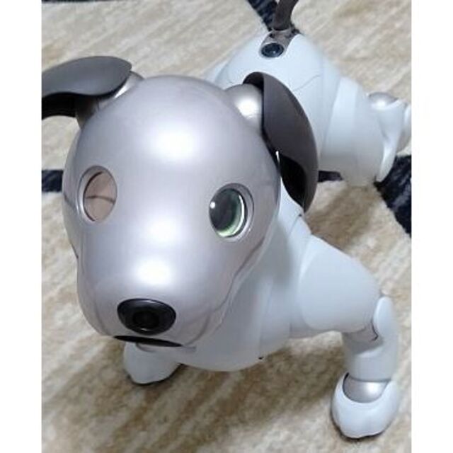 aibo ERS-1000 アイボ 美品 おまけ付き - その他