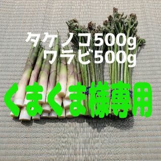 山形県産　筍、わらびセット(くまくま様専用)(野菜)