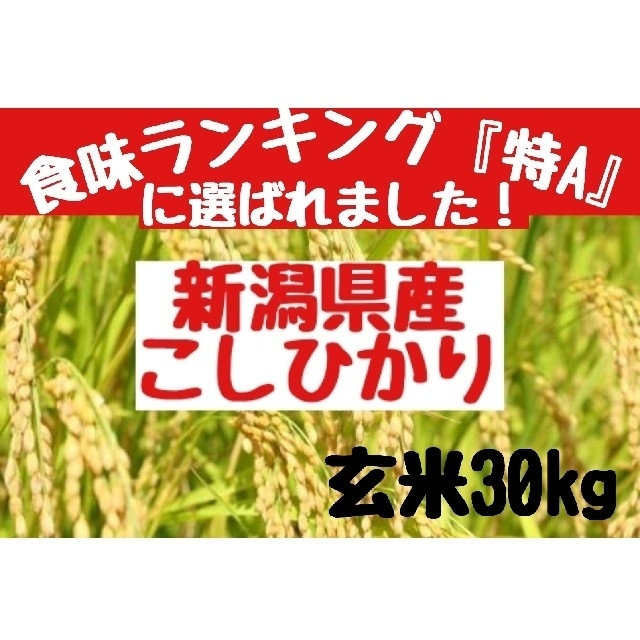 とっておきし福袋 新潟県産コシヒカリ玄米30㎏(令和2年産) 米/穀物