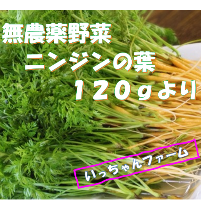 安全・安心野菜　ニンジンの葉（間引きニンジン）　１２０ｇより 食品/飲料/酒の食品(野菜)の商品写真