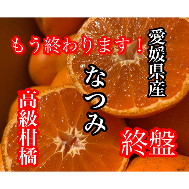 愛媛県産　なつみ 食品/飲料/酒の食品(フルーツ)の商品写真