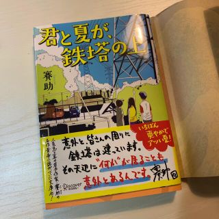 君と夏が、鉄塔の上(文学/小説)