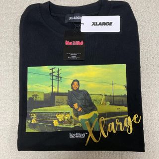 エクストララージ(XLARGE)のエクストララージ アイスキューブ シュプリーム ナイキ SB HIPHOP(Tシャツ/カットソー(半袖/袖なし))