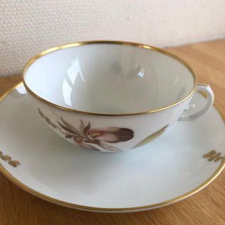 ロイヤルコペンハーゲン ビンテージ 1937年製 ゴールデンアイリスティ