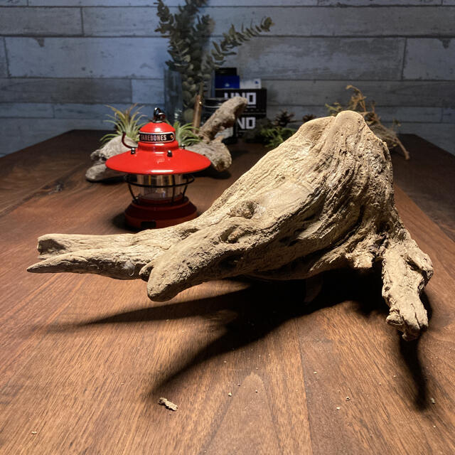 個性的カッコいい流木…天然物　インテリア　オブジェ エンタメ/ホビーの美術品/アンティーク(彫刻/オブジェ)の商品写真