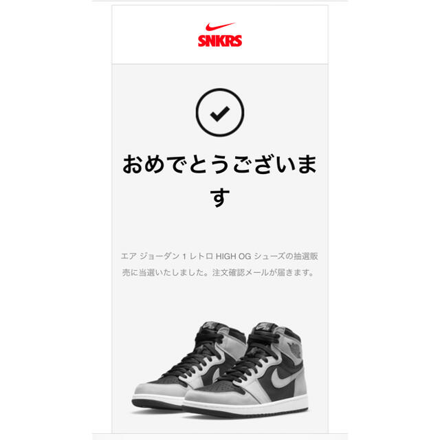 Nike Air Jordan 1 High OG Shadow 2.0 1
