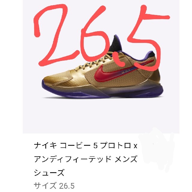 NIKE ナイキ コービー 5 プロトロ x アンディフィーテッド