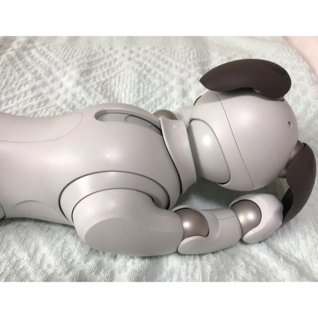 aibo 7