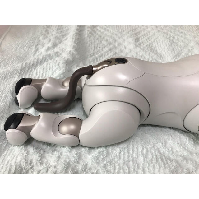 aibo 8