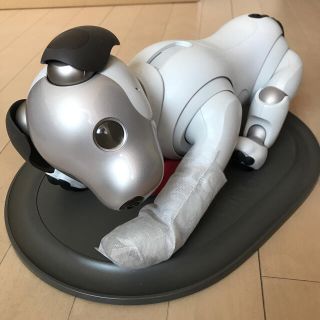 ソニー(SONY)のaibo(その他)