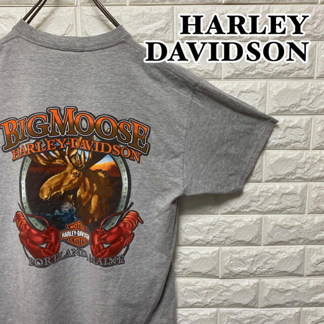Harley Davidson(ハーレーダビッドソン)の【HARLEY DAVIDSON】 Tシャツ　ハーレーダビッドソン メンズのトップス(Tシャツ/カットソー(半袖/袖なし))の商品写真