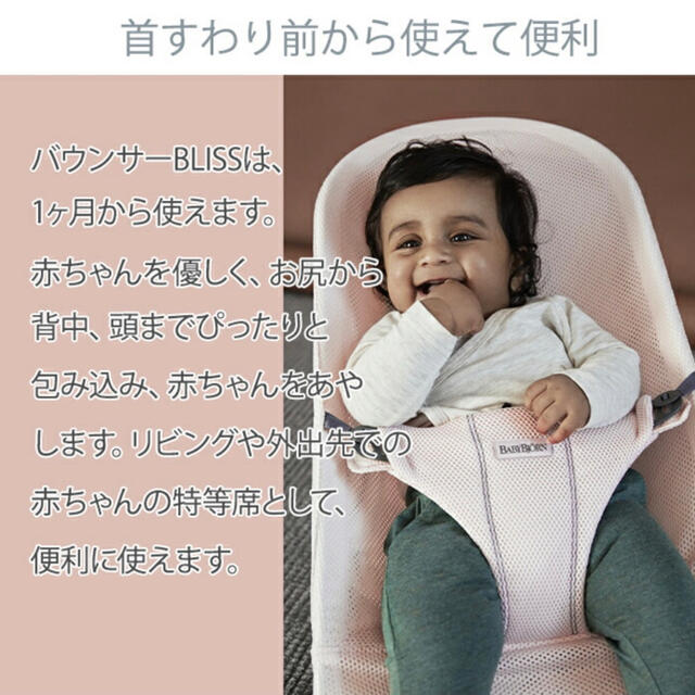 BABYBJORN(ベビービョルン)の【ベビービョルン】バウンサー・グレー【美品】 キッズ/ベビー/マタニティのキッズ/ベビー/マタニティ その他(その他)の商品写真