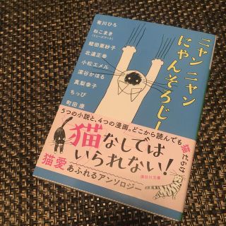 ニャンニャンにゃんそろじー(文学/小説)