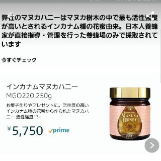 新品☆インカナム マヌカハニー(その他)