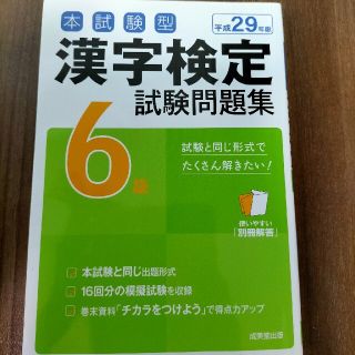 本試験型漢字検定６級試験問題集 平成２９年版(資格/検定)