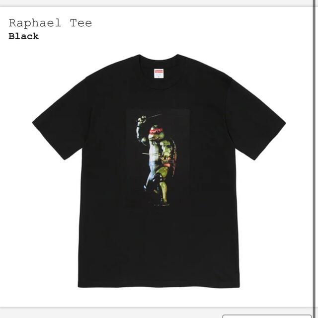 Supreme Raphael Tee 黒 L