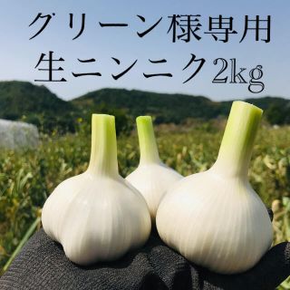 グリーン様専用 生ニンニク2kg(野菜)