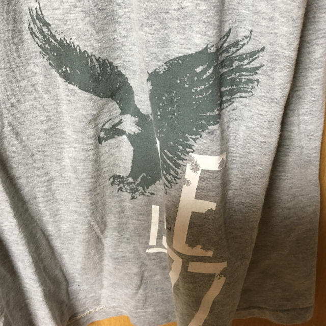 American Eagle(アメリカンイーグル)のAMERICAN EAGLE Tシャツ メンズのトップス(Tシャツ/カットソー(半袖/袖なし))の商品写真