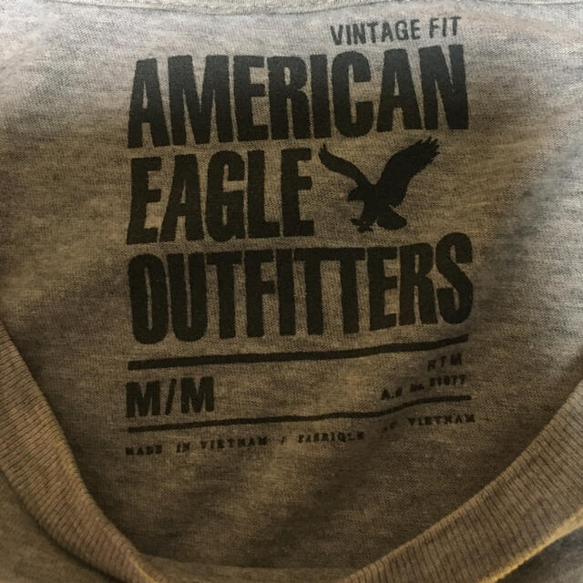 American Eagle(アメリカンイーグル)のAMERICAN EAGLE Tシャツ メンズのトップス(Tシャツ/カットソー(半袖/袖なし))の商品写真