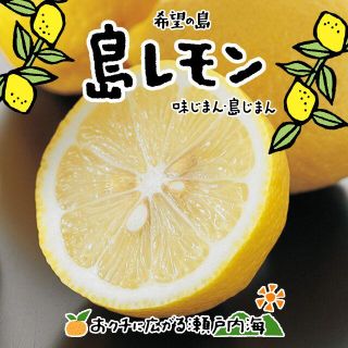 希望の島 レモン 1kg 家庭用 小玉～中玉 愛媛県 中島産 国産レモン(フルーツ)