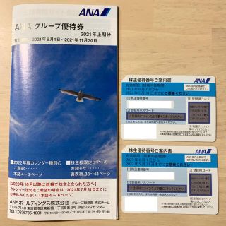 エーエヌエー(ゼンニッポンクウユ)(ANA(全日本空輸))のANA 株主優待券 割引券 2枚 ＆ 優待券冊子(その他)