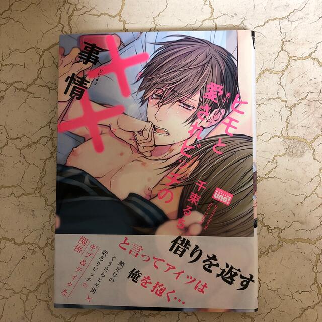 ヒモと愛されビッチの××事情 エンタメ/ホビーの漫画(ボーイズラブ(BL))の商品写真