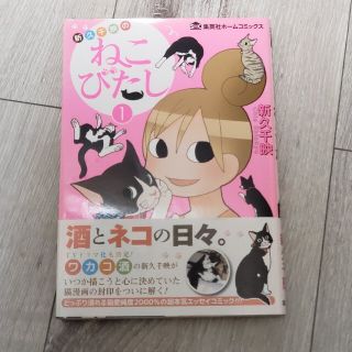 新久千映のねこびたし １(青年漫画)