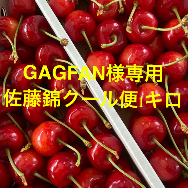 ※GAGFAN様専用※山形県産　さくらんぼ最高峰佐藤錦 食品/飲料/酒の食品(フルーツ)の商品写真