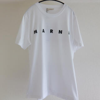マルニ ロゴTシャツ Tシャツ・カットソー(メンズ)の通販 21点 | Marni 