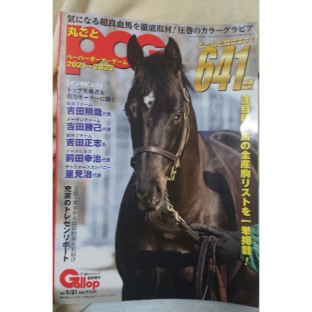 丸ごとPOG 2021～2022 週刊ギャロップ臨時増刊 エンタメ/ホビーの本(趣味/スポーツ/実用)の商品写真