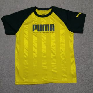 プーマ(PUMA)のプーマ　ジュニア　Tシャツ　160(Tシャツ/カットソー)