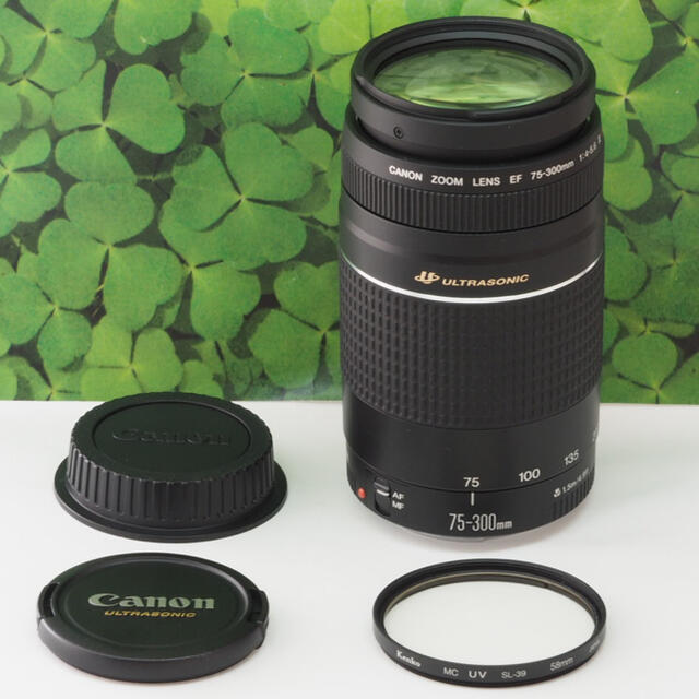 【美品】キャノンEF75-300mm超望遠ズーム⭐️スポーツ、イベントで大活躍