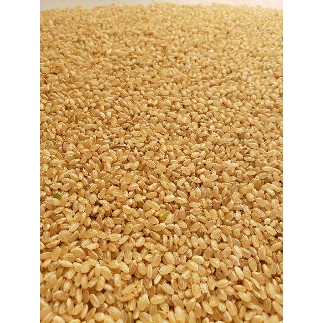 本日限定！☆令和2年度収穫コシヒカリ白米27ｋｇの出品です。小分け可/玄米可 食品/飲料/酒の食品(米/穀物)の商品写真