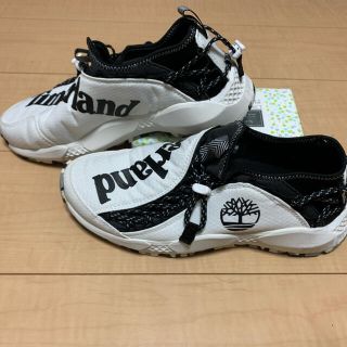 ティンバーランド(Timberland)のTimberland RIPCORD BUNGEE スニーカー White (スニーカー)