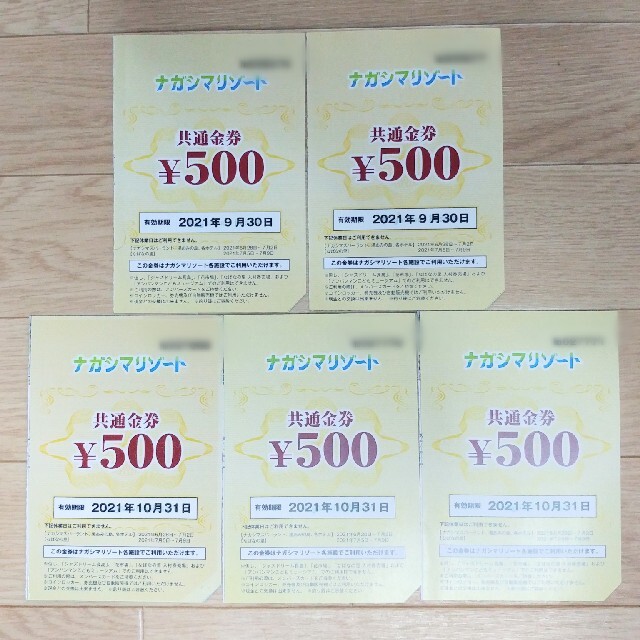 ナガシマリゾート 500円オフ クーポン 5枚 チケットの施設利用券(遊園地/テーマパーク)の商品写真