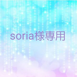 soria様専用(その他)