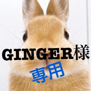 GINGER様専用です(アイドルグッズ)