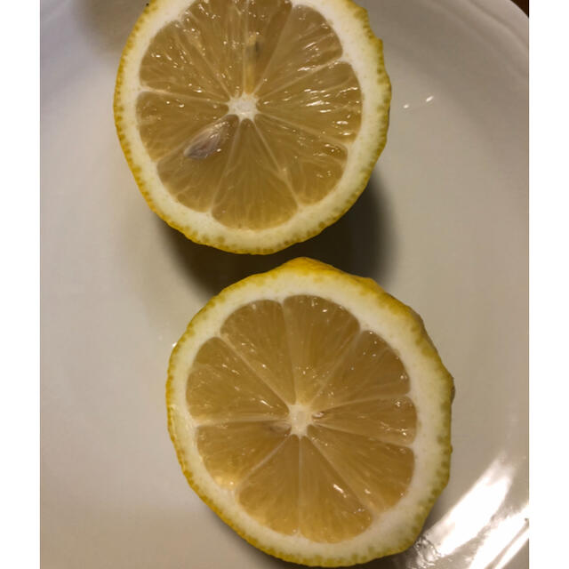 国産　レモン　広島県産　無農薬　レモン　瀬戸内レモン　2kg 食品/飲料/酒の食品(フルーツ)の商品写真