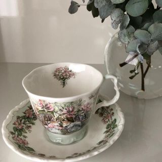 ロイヤルドルトン(Royal Doulton)のRoyal Doulton ティーカップ＆ソーサー（ブランベリーヘッジ・夏）(食器)