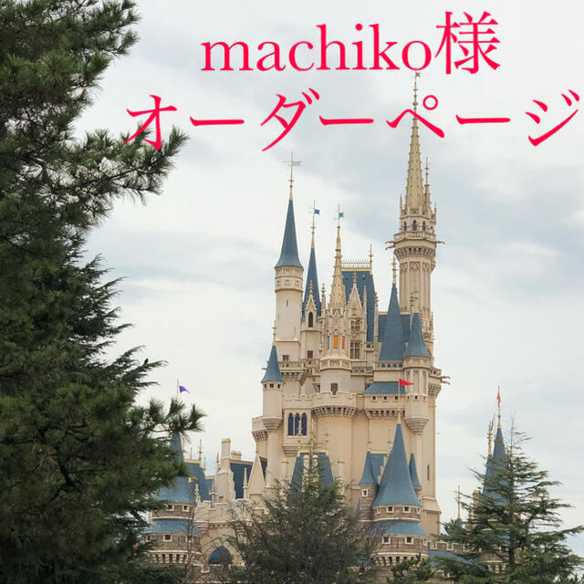 machiko様専用！オーダーページ ハンドメイドのキッズ/ベビー(外出用品)の商品写真