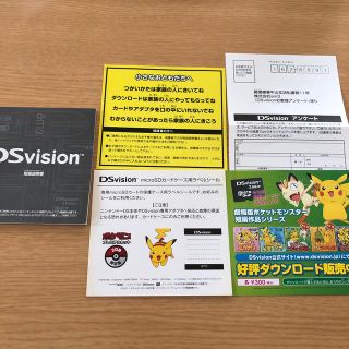 ポケモン - DSvision ポケモンプレミアムセット 2GB 限定版の通販
